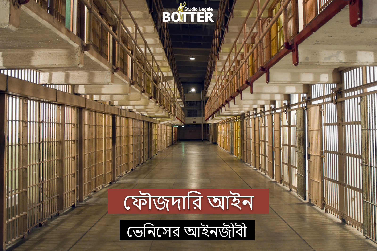 ভেনিসের আইনজীবী - ফৌজদারি আইন